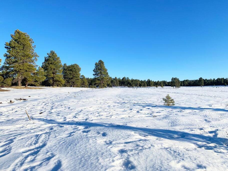 The Comforts' Inn: Mountain Escape Mountainaire Екстер'єр фото